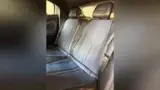 BYD Dolphin Mini - Miniatura 9