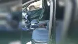 BYD Dolphin Mini - Miniatura 2