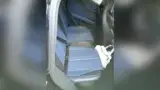 BYD Dolphin Mini - Miniatura 4