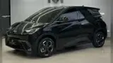 BYD Dolphin Mini - Miniatura 1