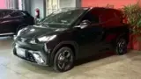 BYD Dolphin Mini - Miniatura 2