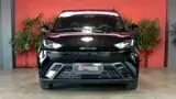 BYD Dolphin Mini - Miniatura 3