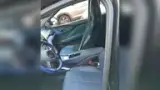 BYD Dolphin Mini - Miniatura 5