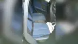 BYD Dolphin Mini - Miniatura 8