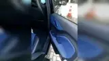 BYD Dolphin Mini - Miniatura 9