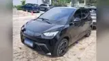 BYD Dolphin Mini - Miniatura 1