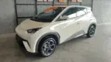 BYD Dolphin Mini - Miniatura 1