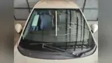 BYD Dolphin Mini - Miniatura 2