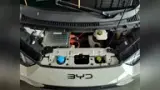 BYD Dolphin Mini - Miniatura 11