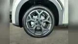 BYD Dolphin Mini - Miniatura 15