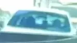 BYD Dolphin Mini - Miniatura 6
