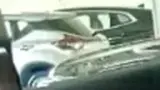BYD Dolphin Mini - Miniatura 9