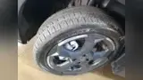 BYD Dolphin Mini - Miniatura 10
