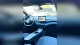 BYD Dolphin Mini - Miniatura 9