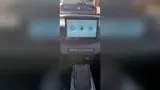 BYD Dolphin Mini - Miniatura 7