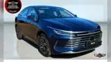 BYD King - Miniatura 3