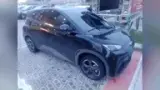 BYD Dolphin Mini - Miniatura 1