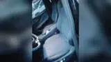BYD Dolphin Mini - Miniatura 4