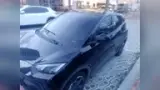 BYD Dolphin Mini - Miniatura 7