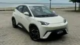 BYD Dolphin Mini - Miniatura 1