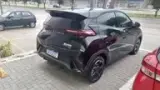 BYD Dolphin Mini - Miniatura 4