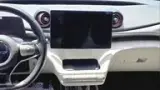 BYD Dolphin - Miniatura 7