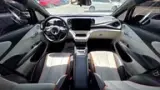 BYD Dolphin - Miniatura 14