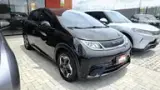 BYD Dolphin - Miniatura 2