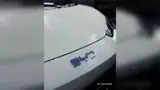BYD Dolphin Mini - Miniatura 4
