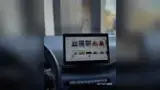 BYD Dolphin Mini - Miniatura 14