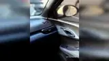 BYD Dolphin Mini - Miniatura 17
