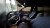 BYD Dolphin Mini - Miniatura 7