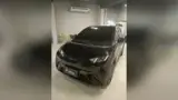 BYD Dolphin Mini - Miniatura 1