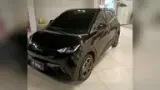 BYD Dolphin Mini - Miniatura 3