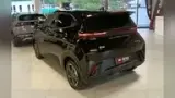 BYD Dolphin Mini - Miniatura 4