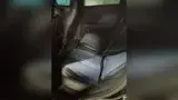 BYD Dolphin Mini - Miniatura 11