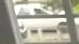 BYD Dolphin Mini - Miniatura 10