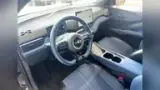 BYD Dolphin Mini - Miniatura 7