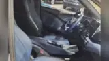 BYD Dolphin Mini - Miniatura 5