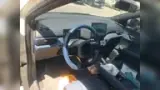 BYD Dolphin Mini - Miniatura 6