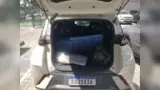 BYD Dolphin Mini - Miniatura 7