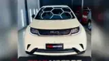 BYD Dolphin - Miniatura 1