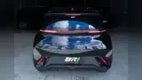 BYD Dolphin Mini - Miniatura 2