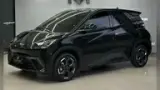 BYD Dolphin Mini - Miniatura 1
