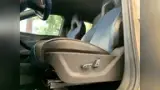 BYD Dolphin Mini - Miniatura 2