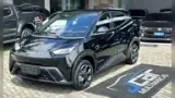 BYD Dolphin Mini - Miniatura 1