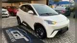 BYD Dolphin Mini - Miniatura 7