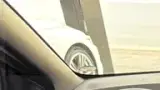 BYD Dolphin Mini - Miniatura 5