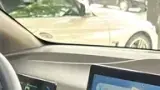 BYD Dolphin Mini - Miniatura 10