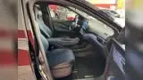 BYD Dolphin Mini - Miniatura 11
